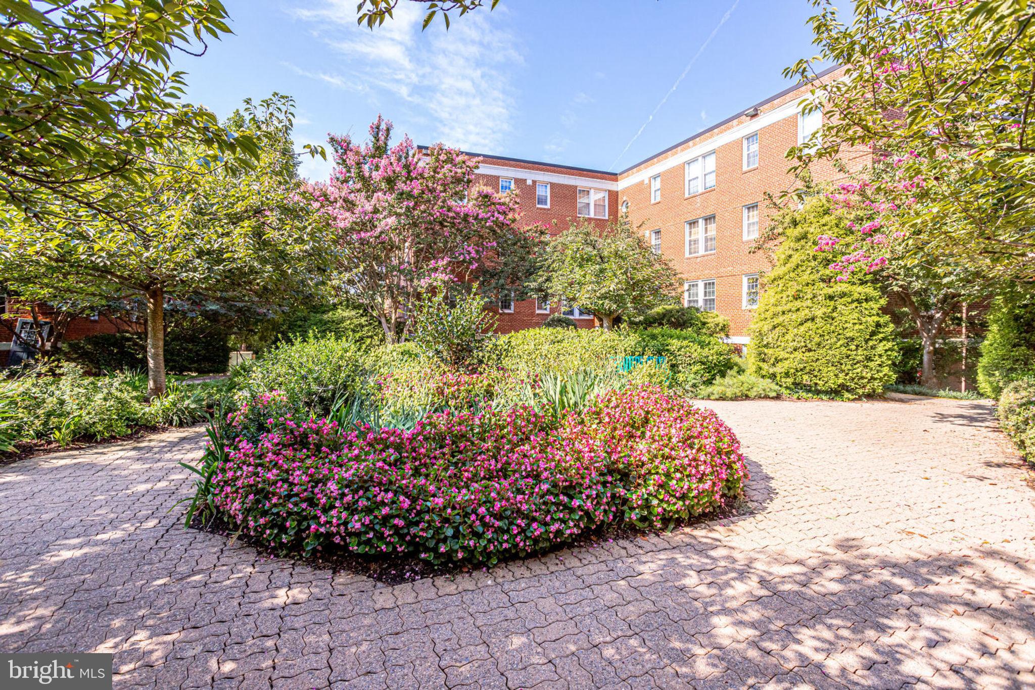 20 South Old Glebe Road, Unit 201A Arlington, VA 22204 - Photo 12 of 15 Beautiful Courtyard
