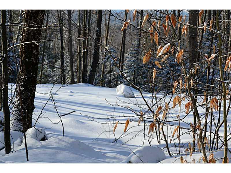 0 Intervale Road, Unit B Bethel, ME 04217 - Photo 4 of 11 Land.