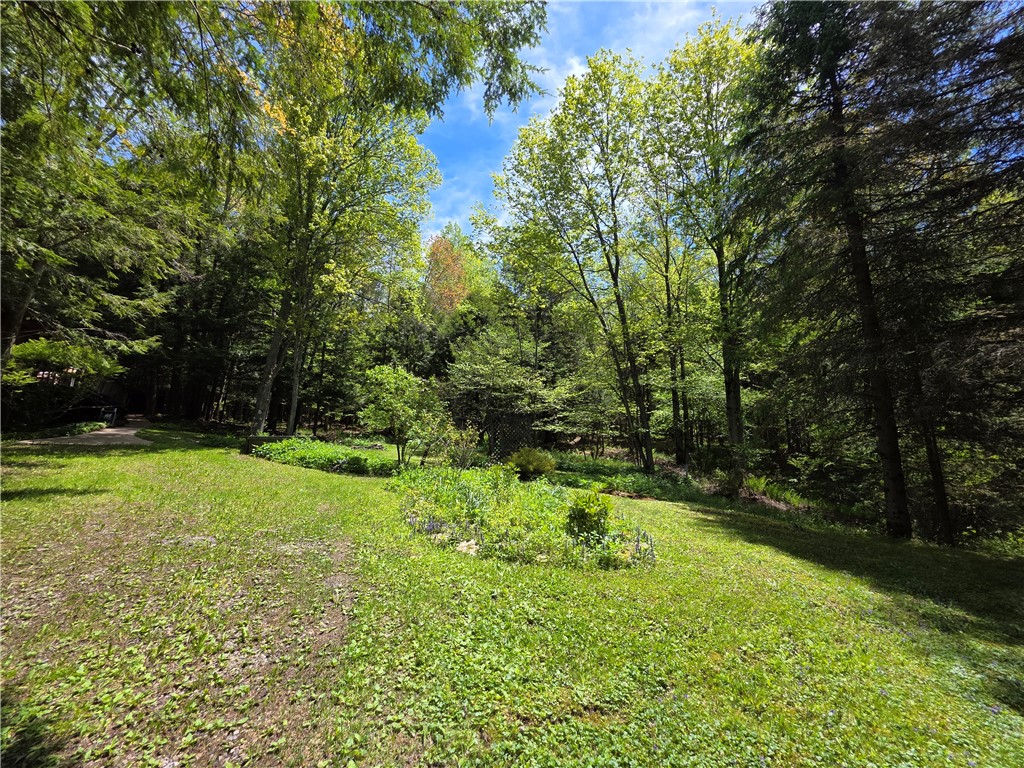3040 Quigg Hollow Road Andover, NY 14806 - Photo 35 of 46