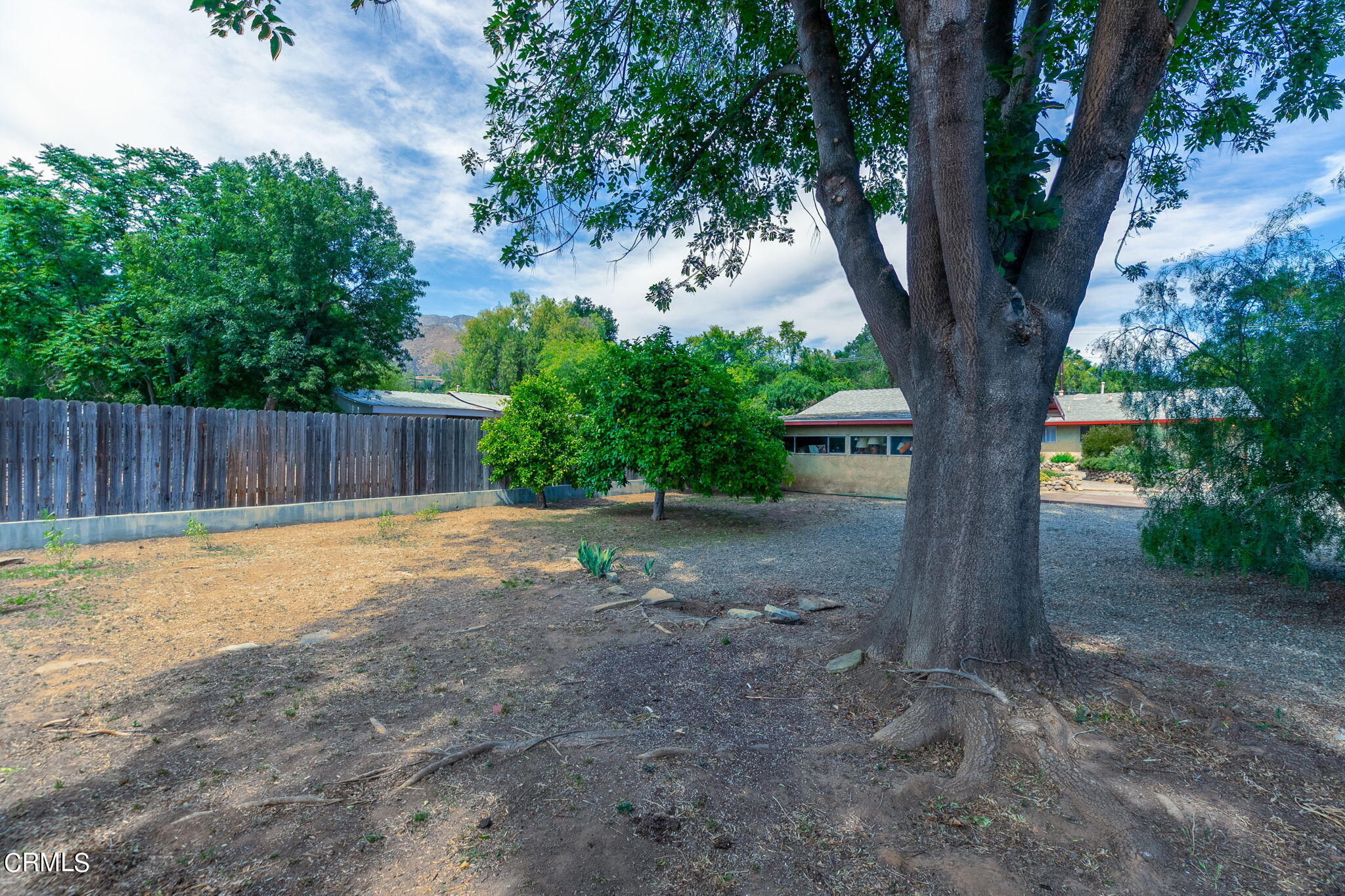 12239 Sisar Road Ojai, CA 93023 - Photo 35 of 36 Fruit trees