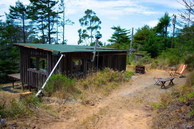 a small pool with a trees in the background