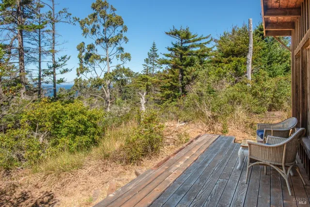 a view of a garden with plants and large trees