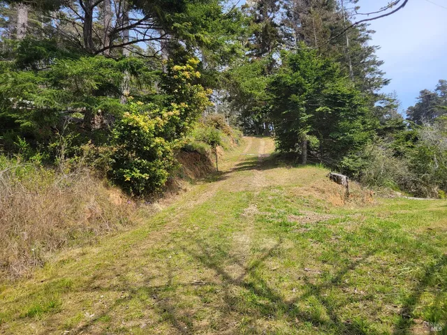 a flower plants and flowers in front of a yellow plant