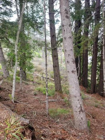 $399,000 | 34601 Highway 1, Gualala, CA 95445