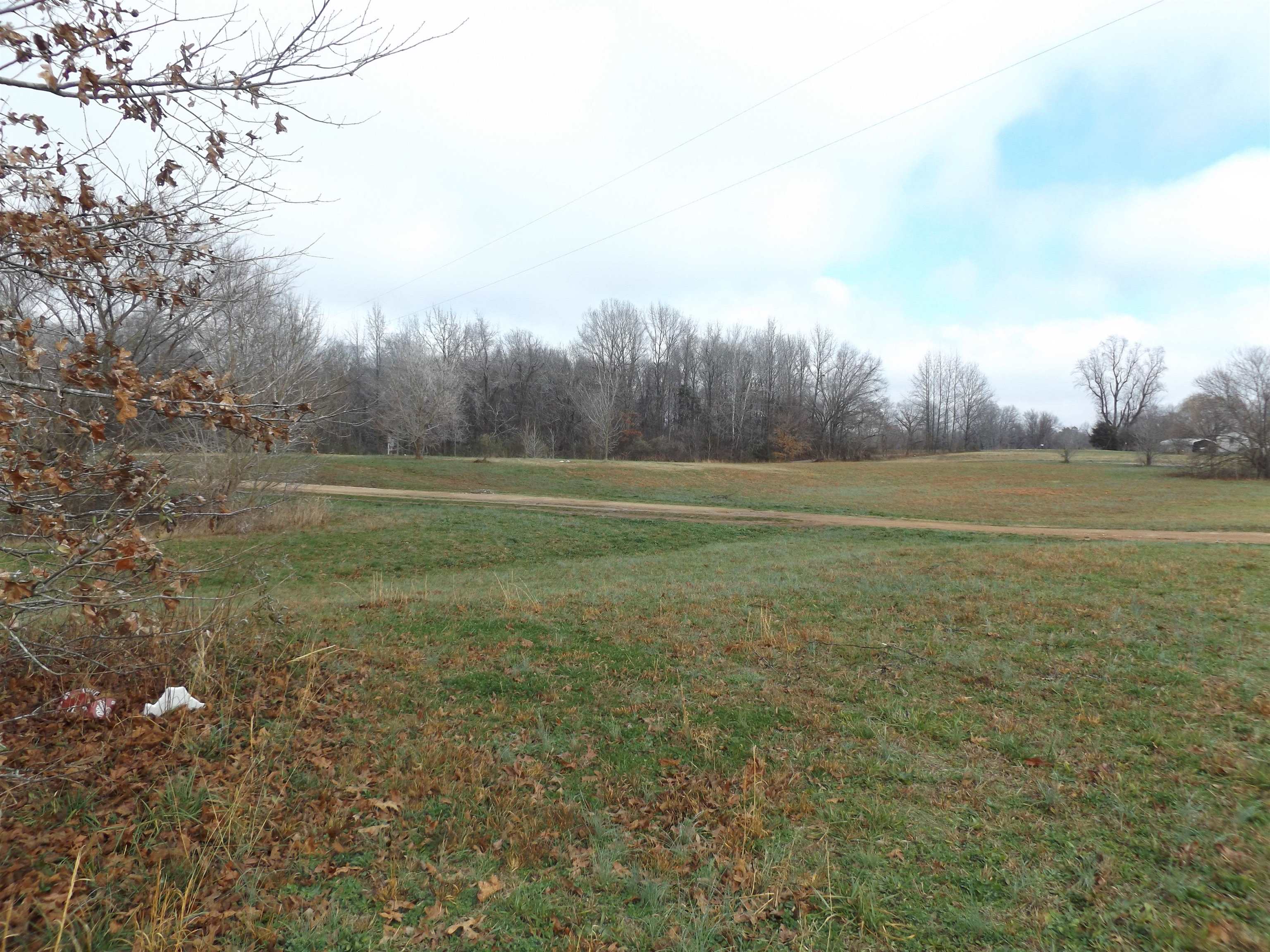 1010 Walton Loop Covington, TN 38019 - Photo 12 of 12 Gallery Image 12