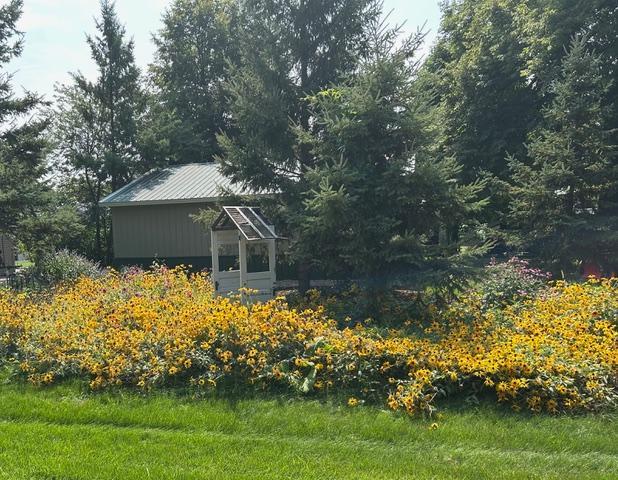 10446 Reno View Drive Alexandria, MN 56308 - Photo 3 of 26 Gallery Image 3
