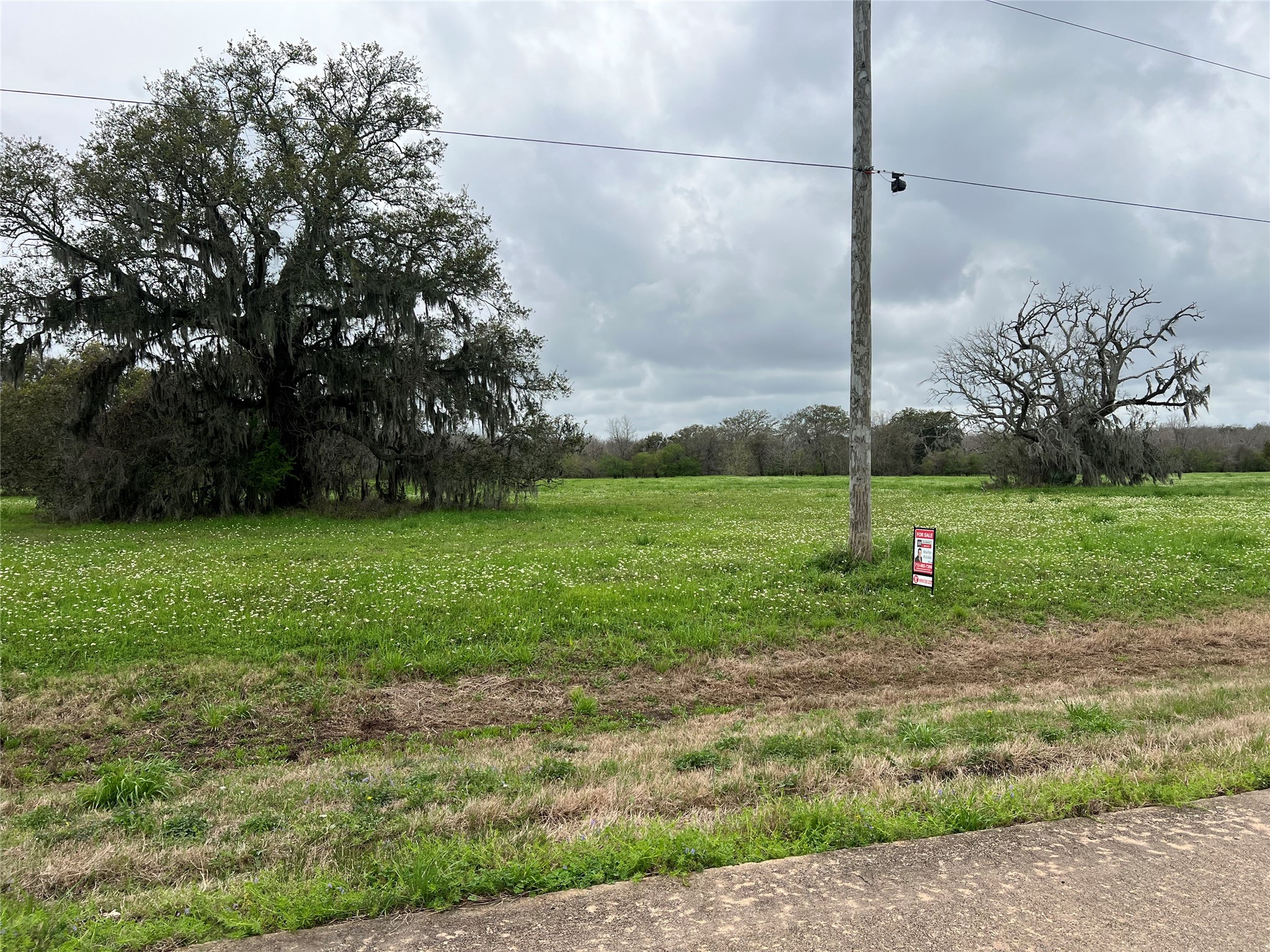 484 Pony Trail Angleton, TX 77515 - Photo 3 of 3