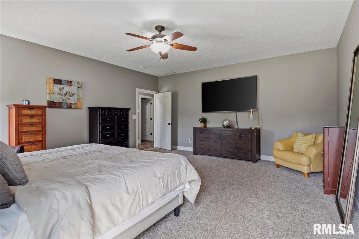 8515 Cardinal Hill Road Rochester, IL 62563 - Photo 27 of 80 Gallery Image 27