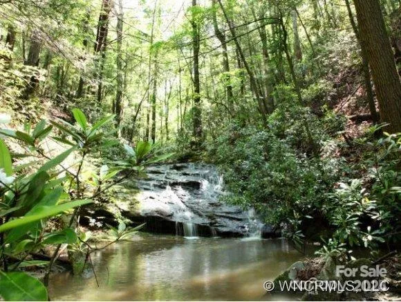a view of a field with trees in front of it
