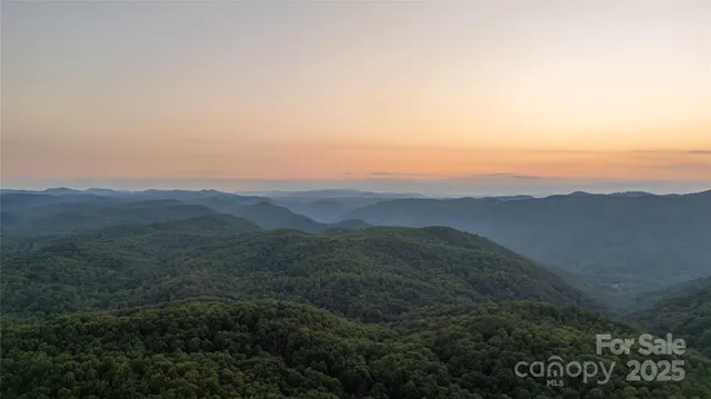 a view of mountain with trees in the background