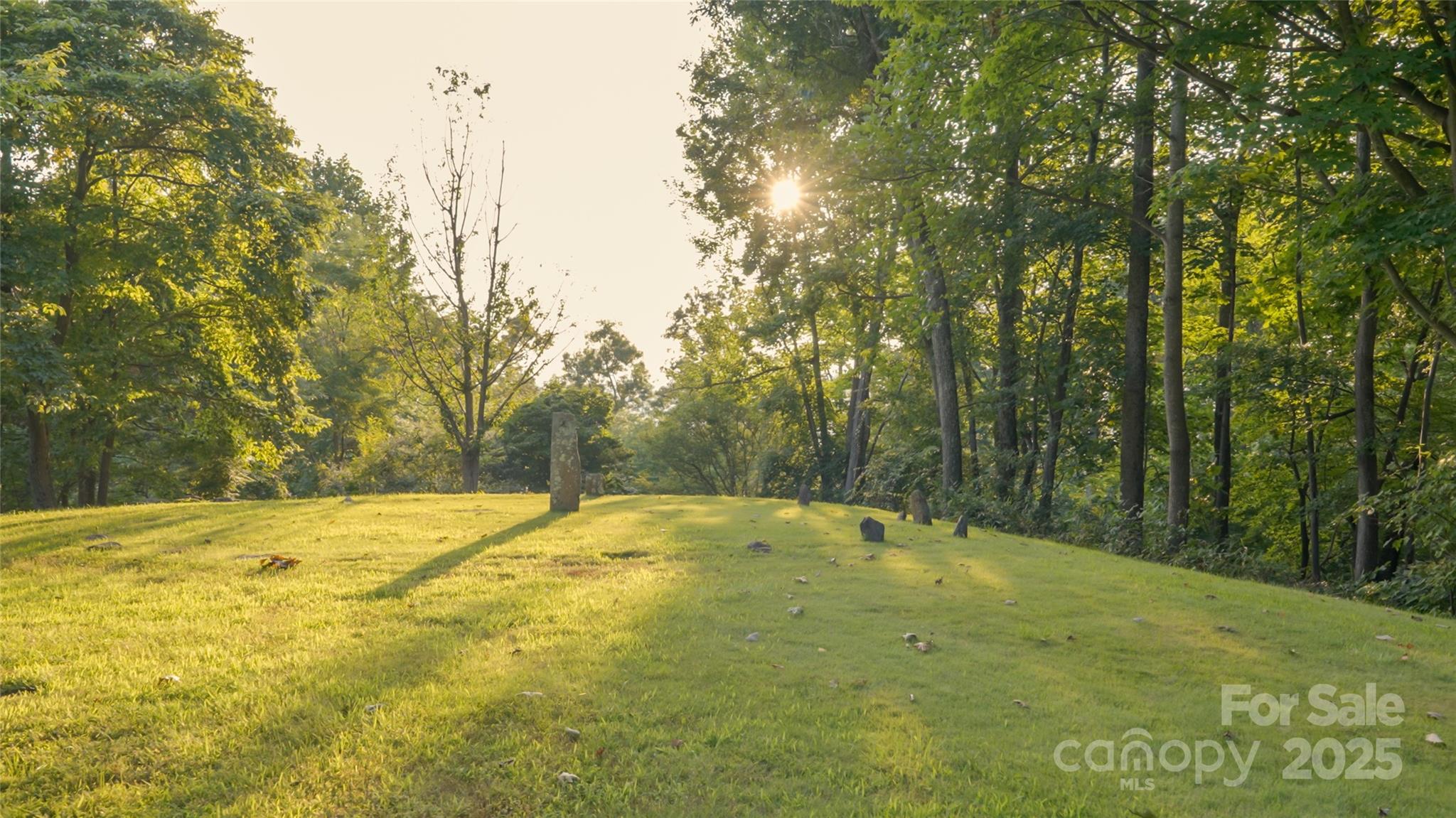 130 Piney Rdg Lane Saluda, NC 28773 - Photo 45 of 48 a view of yard with trees