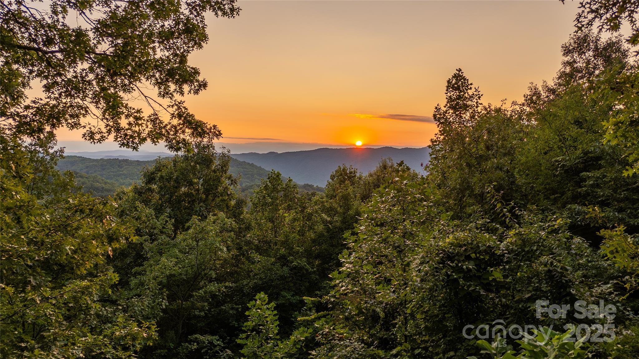 130 Piney Rdg Lane Saluda, NC 28773 - Photo 5 of 48 a view of a field of grass and trees