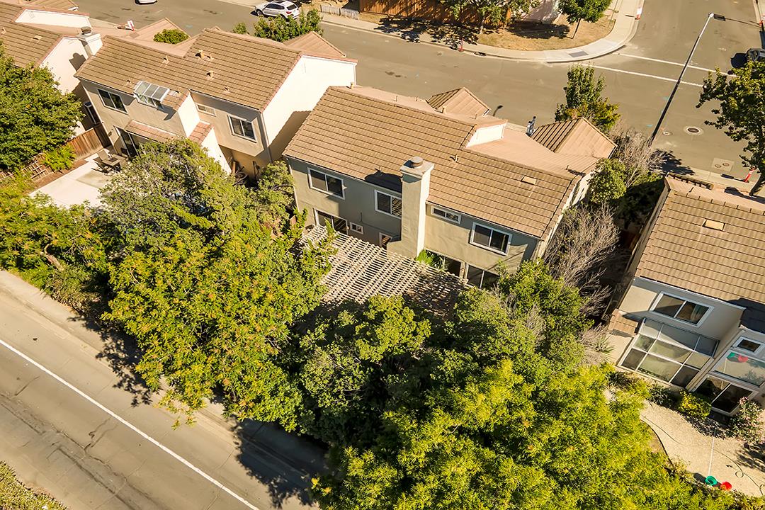 239 Balboa Drive Milpitas, CA 95035 - Photo 52 of 57