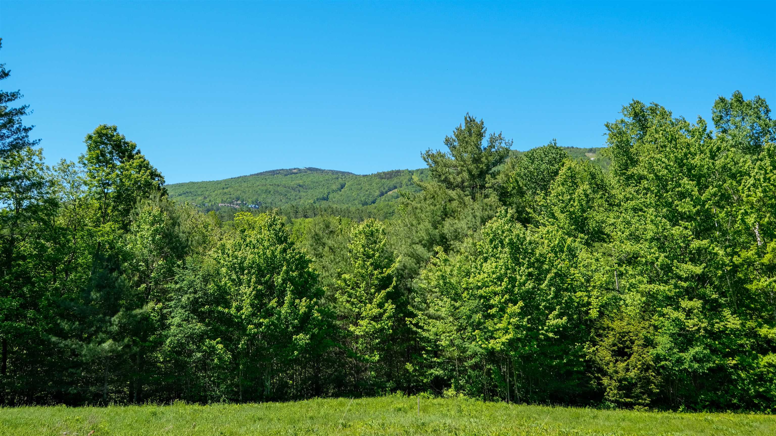 0 Rod And Gun Club Road, Unit 9 Ludlow, VT 05149 - Photo 6 of 25