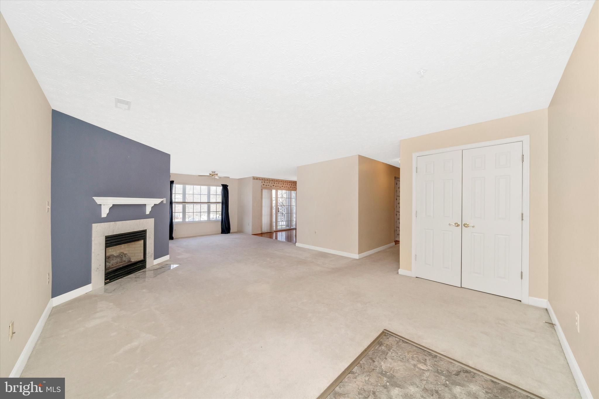 6117 Springwater Place, Unit 1723 Frederick, MD 21701 - Photo 8 of 50 a view of a livingroom with a fireplace