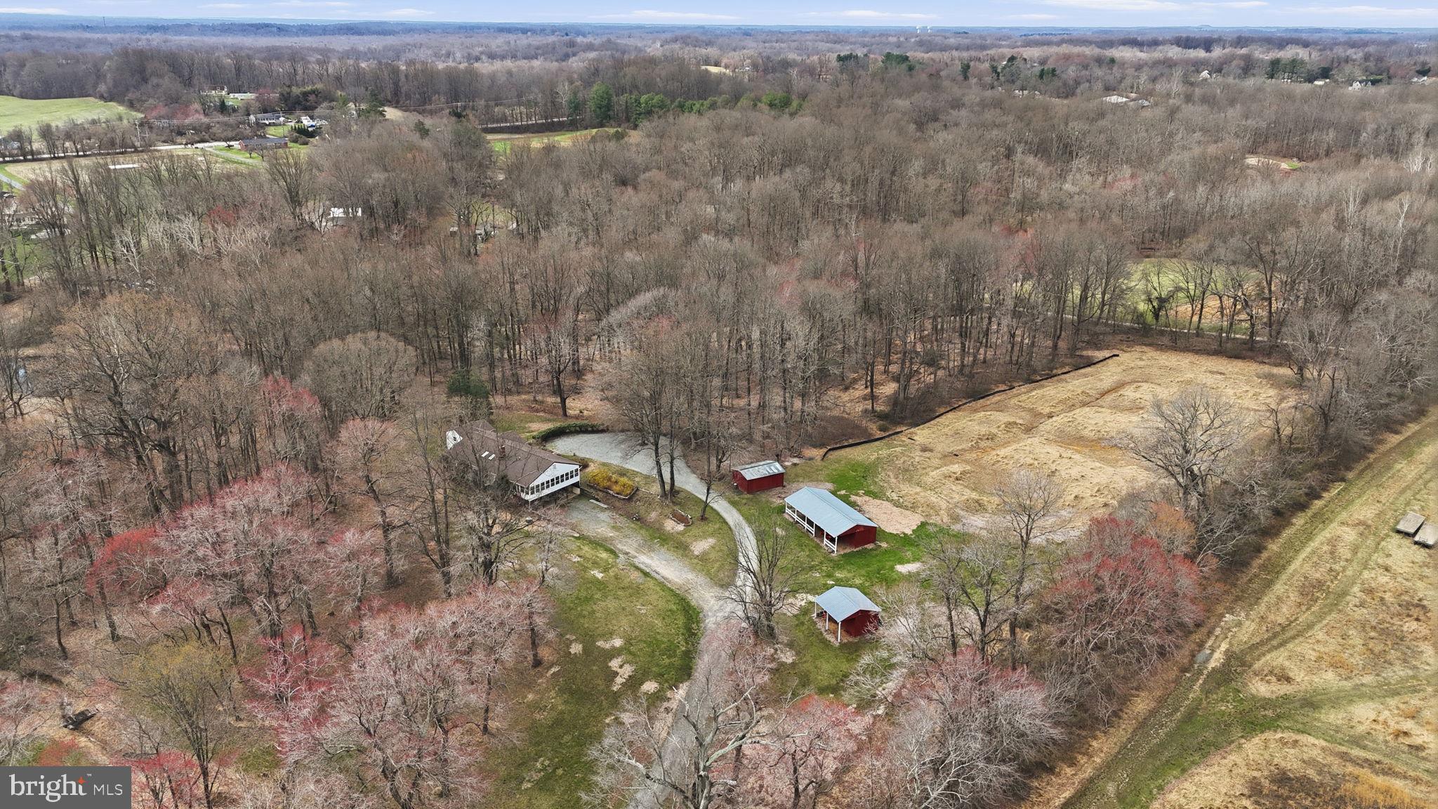18311 Queen Anne Bridge Road Bowie, MD 20716 - Photo 3 of 46 a view of a yard with a tree