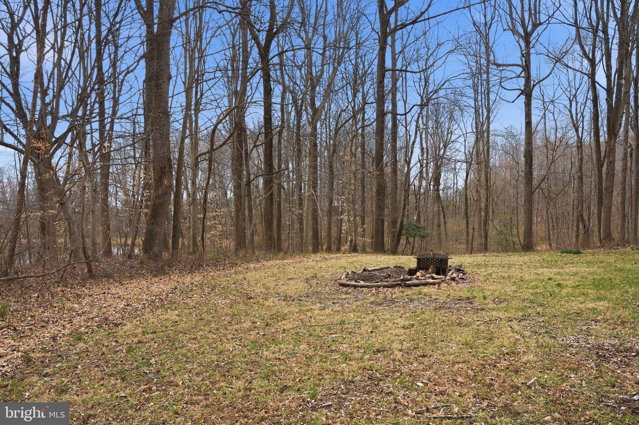 18311 Queen Anne Bridge Road Bowie, MD 20716 - Photo 37 of 46 a backyard of a house with large trees