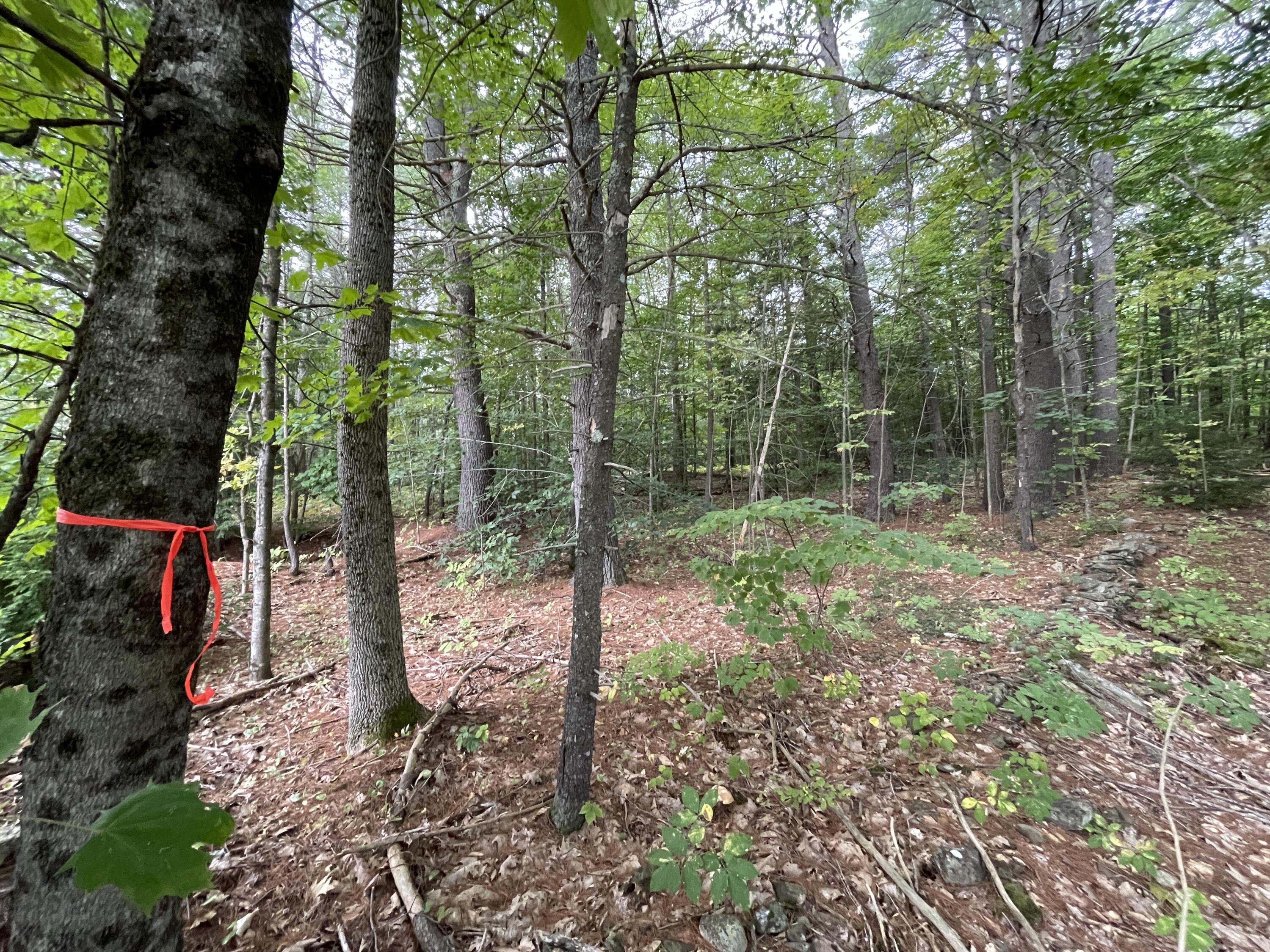 Tbd Files Road Gorham, ME 04038 - Photo 1 of 4 IMG_3854