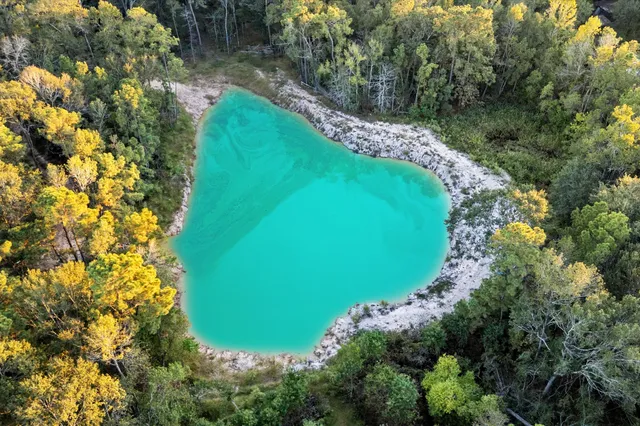 $2,600,000 | 11415 Magnolia Bend Drive, Conroe, TX 77302