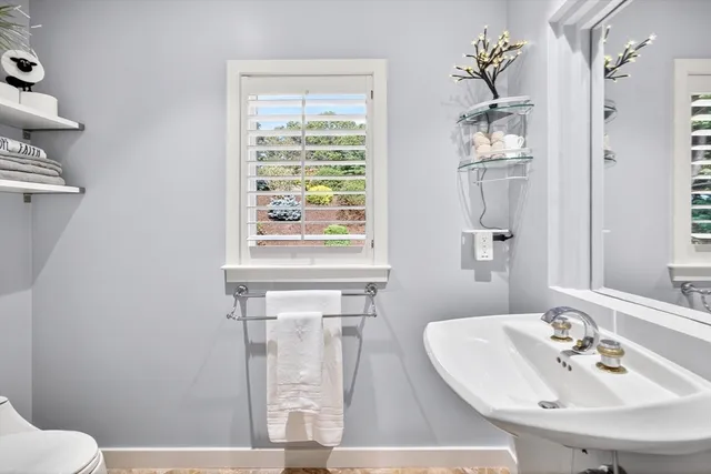 a living room with furniture potted plant and a window