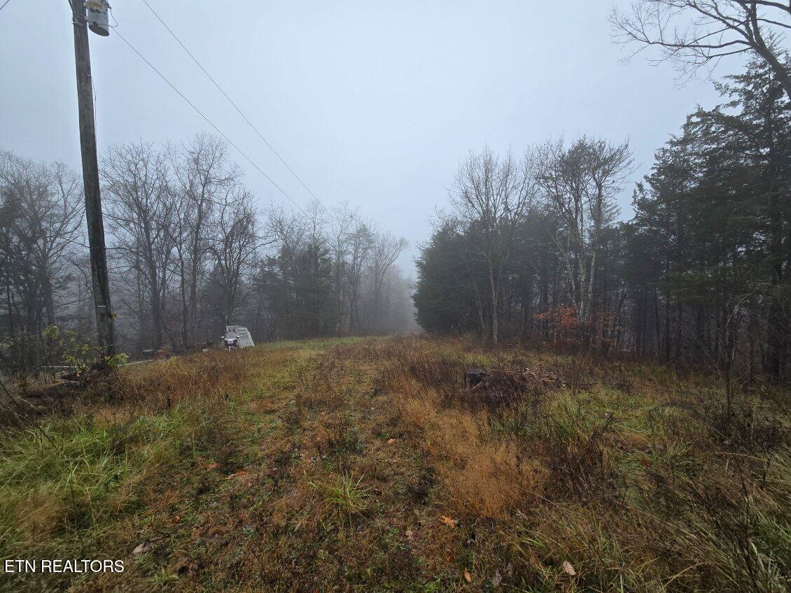 1644 Round Barn Road Powder Springs, TN 37848 - Photo 6 of 6 IMG_20241210_082540