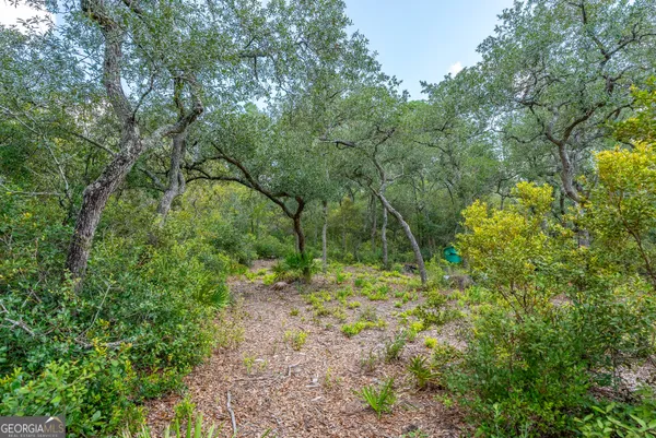 $415,000 | 128 Satilla Bluffs Drive, Blackshear, GA 31516