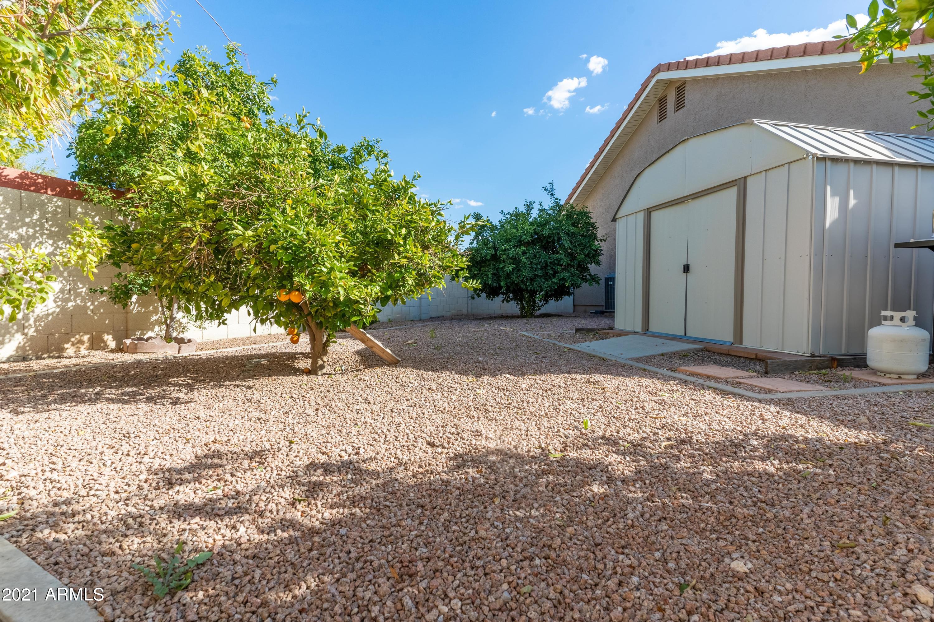 832 North Williams Circle Mesa, AZ 85203 - Photo 22 of 33 East yard