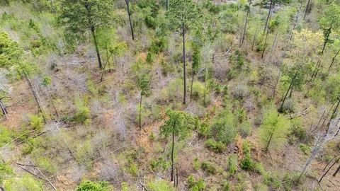 $74,900 | 19727 County Road 2160, Troup, TX 75789