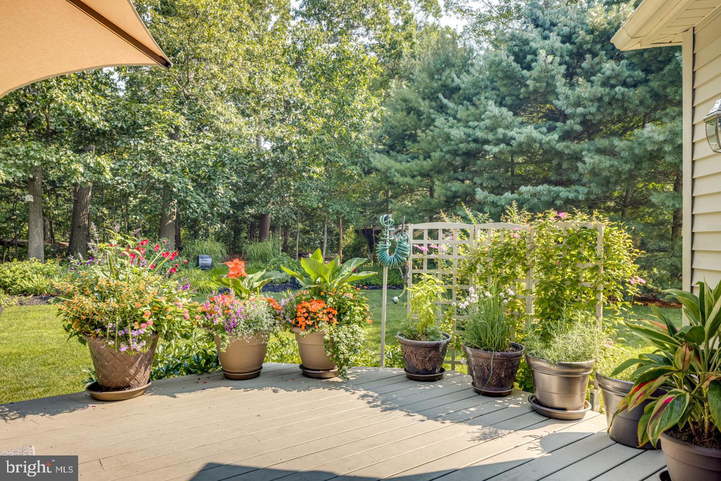 516 Riggs Avenue Berlin, NJ 08009 - Photo 48 of 51 Gallery Image 48