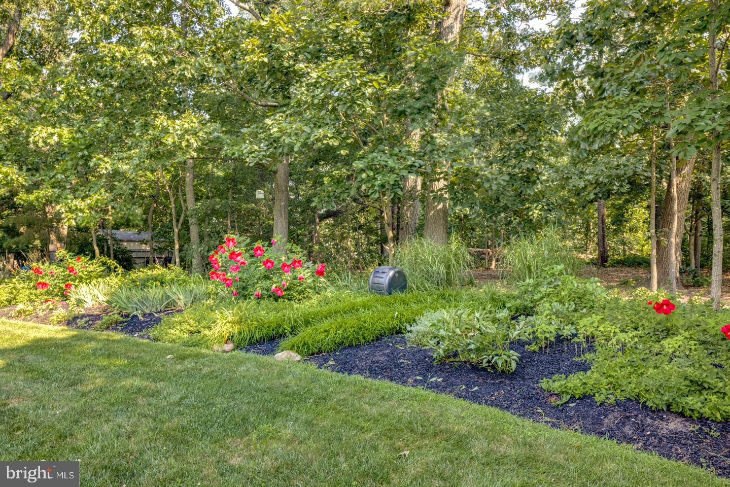516 Riggs Avenue Berlin, NJ 08009 - Photo 50 of 51 Gallery Image 50