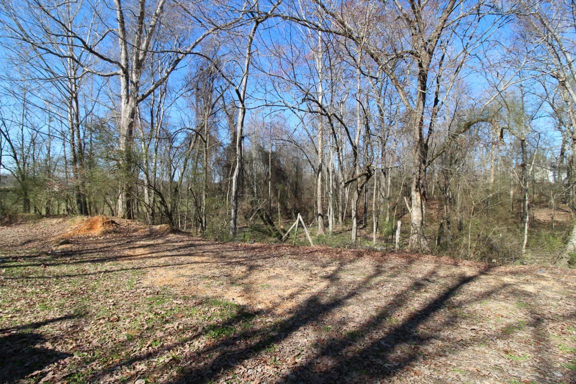 1170 Peakland Road Decatur, TN 37322 - Photo 34 of 38 IMG_3308 (Medium)
