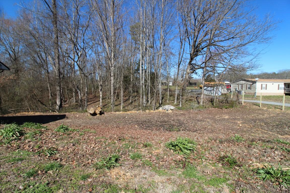 1170 Peakland Road Decatur, TN 37322 - Photo 38 of 38 IMG_3264 (Medium)