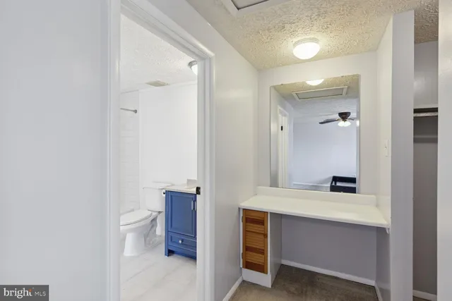 a bathroom with a sink vanity toilet and mirror