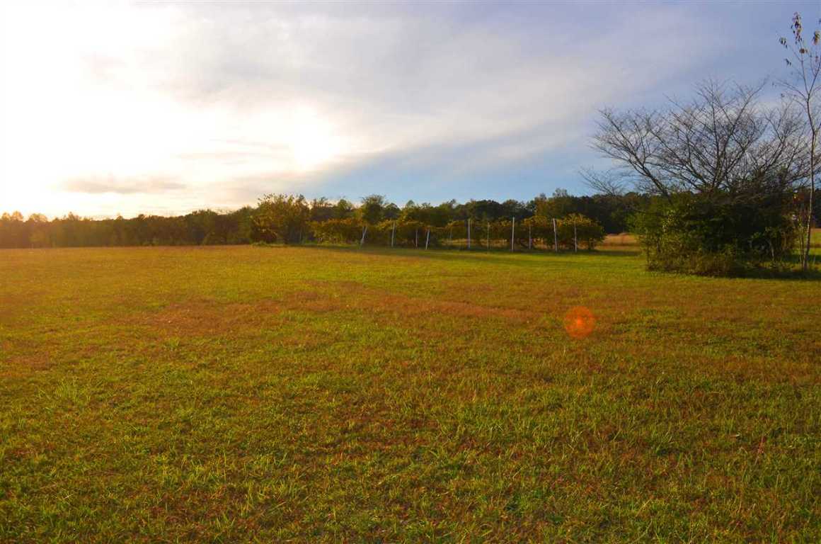 106 Canfield Road Honea Path, SC 29654 - Photo 7 of 17