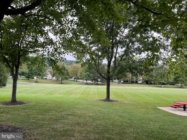 a view of an trees in a yard