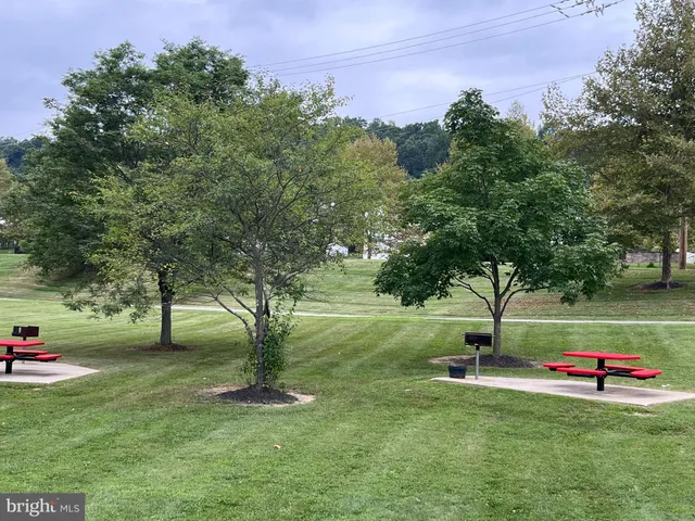 a view of backyard with green space
