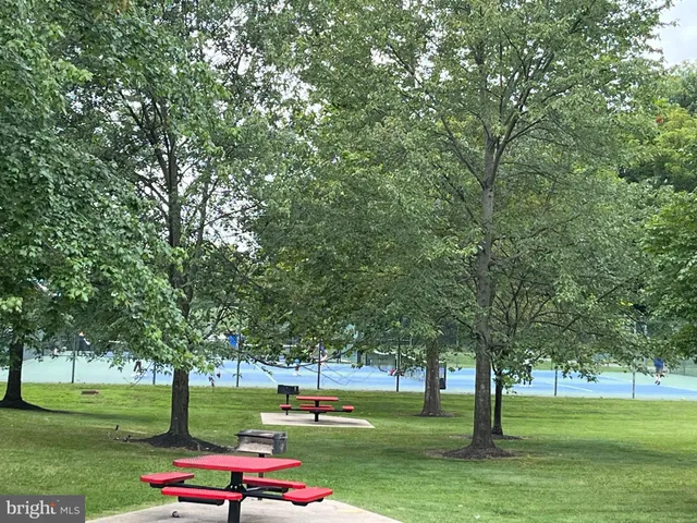 a park view with large trees
