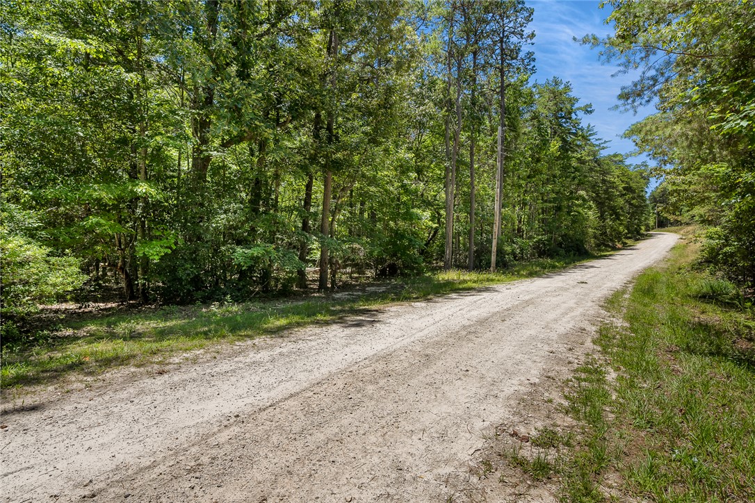 0 Pine Mountain Road Tamassee, SC 29686 - Photo 3 of 15