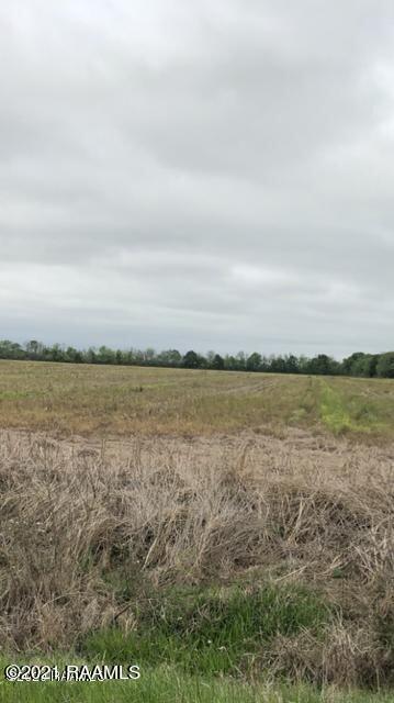 0 Opelousas Road Ville Platte, LA 70586 - Photo 1 of 3 20200406182602714741000000-o