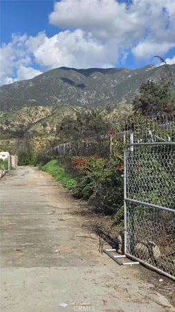 a view of a yard