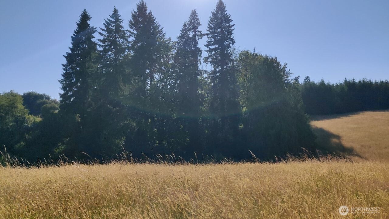 4339 Pleasant Hill Road Kelso, WA 98626 - Photo 3 of 7 Gallery Image 3