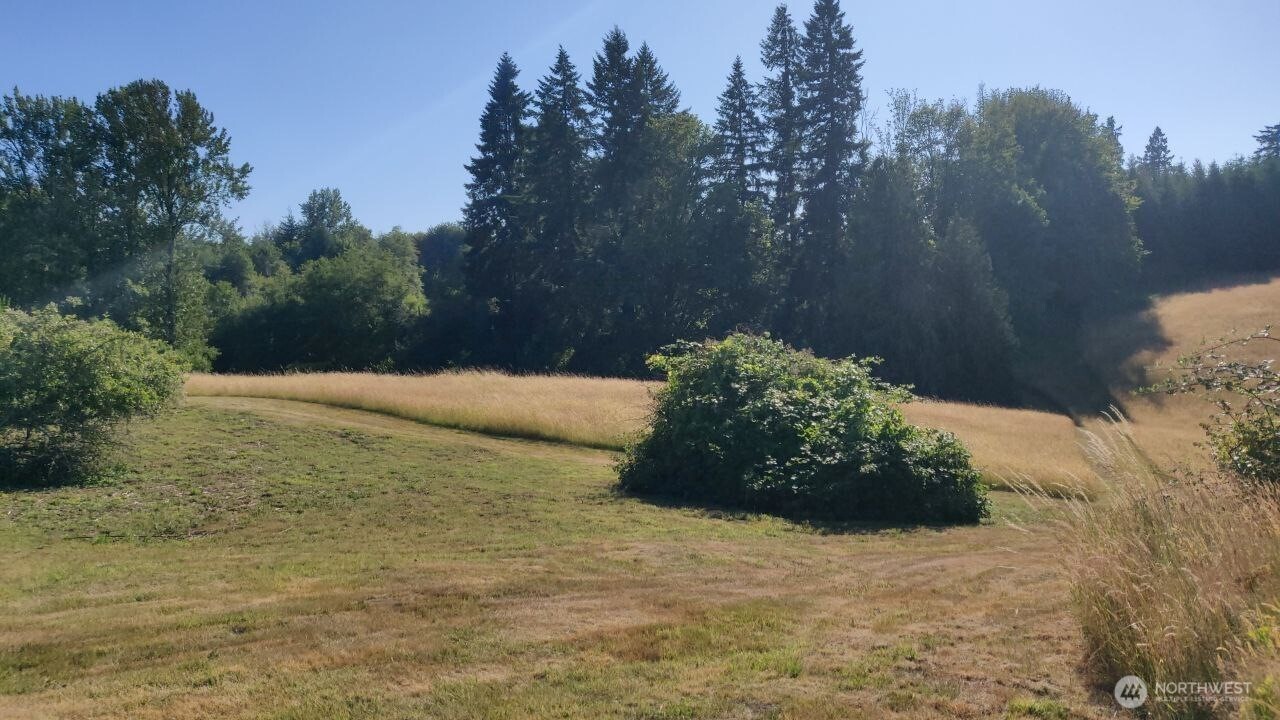 4339 Pleasant Hill Road Kelso, WA 98626 - Photo 5 of 7 Gallery Image 5