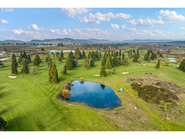 a view of a lake with a mountain