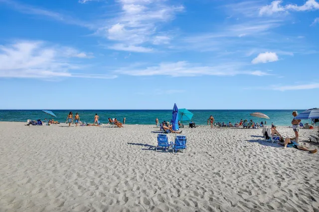 a view of a garden with potted plants