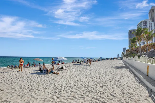 a view of a palm trees