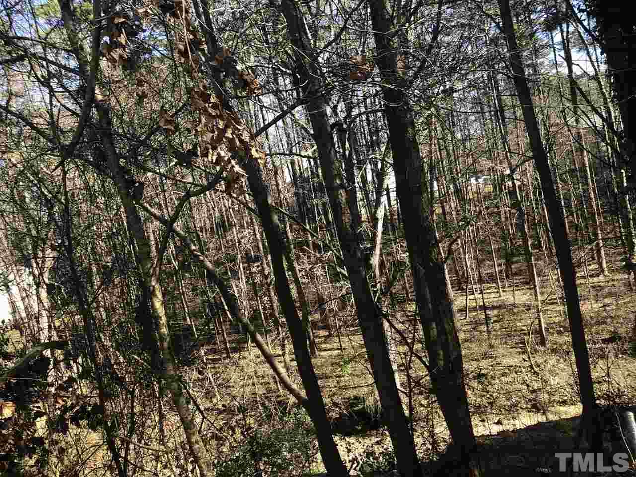 4236 Kaplan Drive Raleigh, NC 27606 - Photo 3 of 5