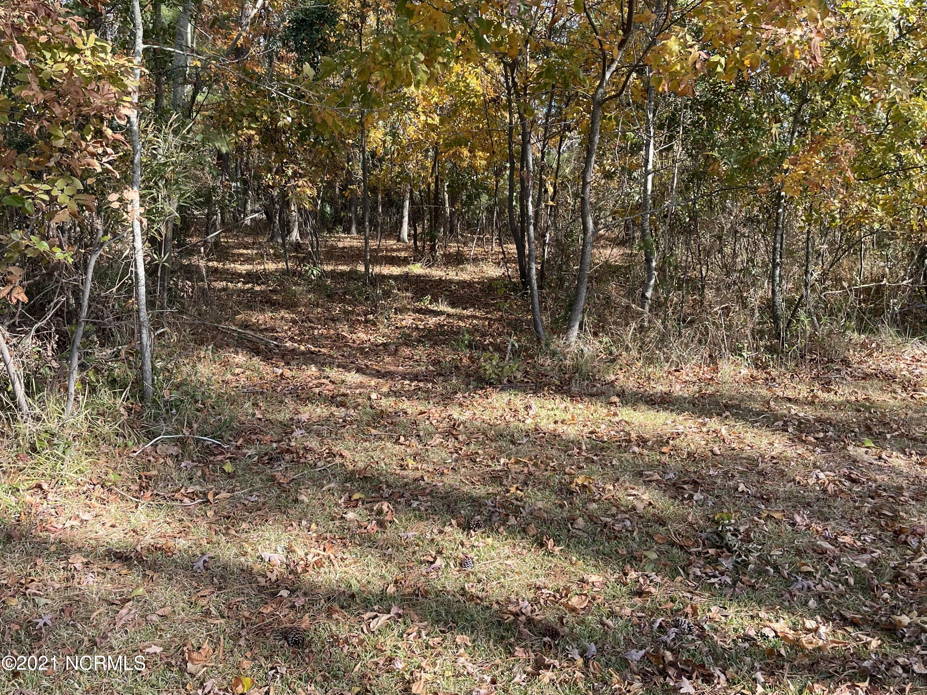 0 Bayview Road Bath, NC 27808 - Photo 2 of 3 bayview1