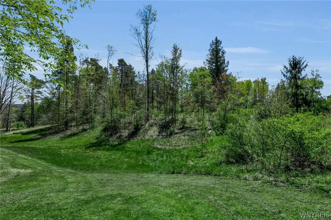 4492 Haag Road Eden, NY 14057 - Photo 8 of 50