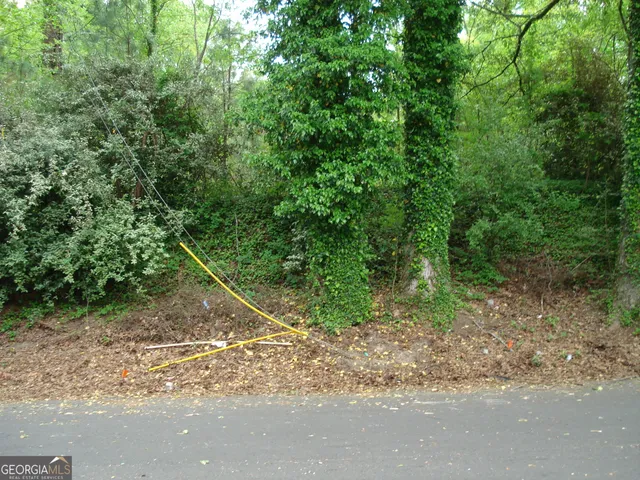 $65,000 | 0 Morehouse Drive Northwest, Atlanta, GA 30314