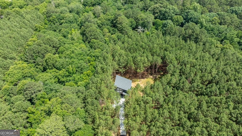 3279 Tommy Dillard Road Monroe, GA 30656 - Photo 4 of 36